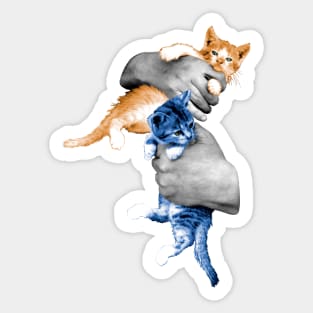 The kittens in hands Sticker